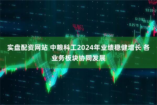 实盘配资网站 中粮科工2024年业绩稳健增长 各业务板块协同发展