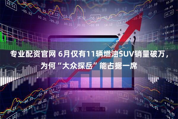 专业配资官网 6月仅有11辆燃油SUV销量破万,为何“大众探岳”能占据一席