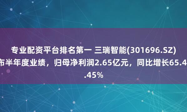 专业配资平台排名第一 三瑞智能(301696.SZ)发布半年度业绩，归母净利润2.65亿元，同比增长65.45%